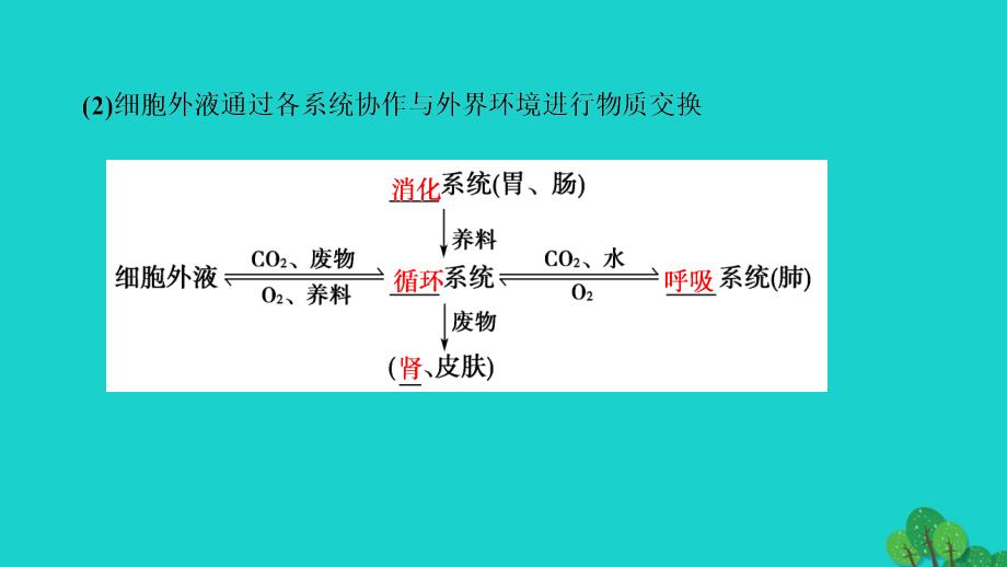 2018-2019学年高中生物第2章动物生命活动的调节第1节内环境与稳态课件浙科版_第4页