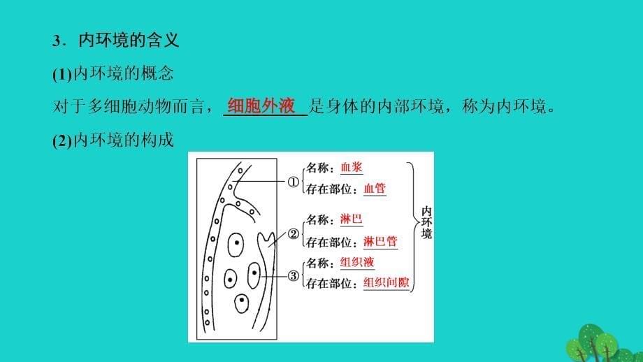 2018-2019学年高中生物第2章动物生命活动的调节第1节内环境与稳态课件浙科版_第5页