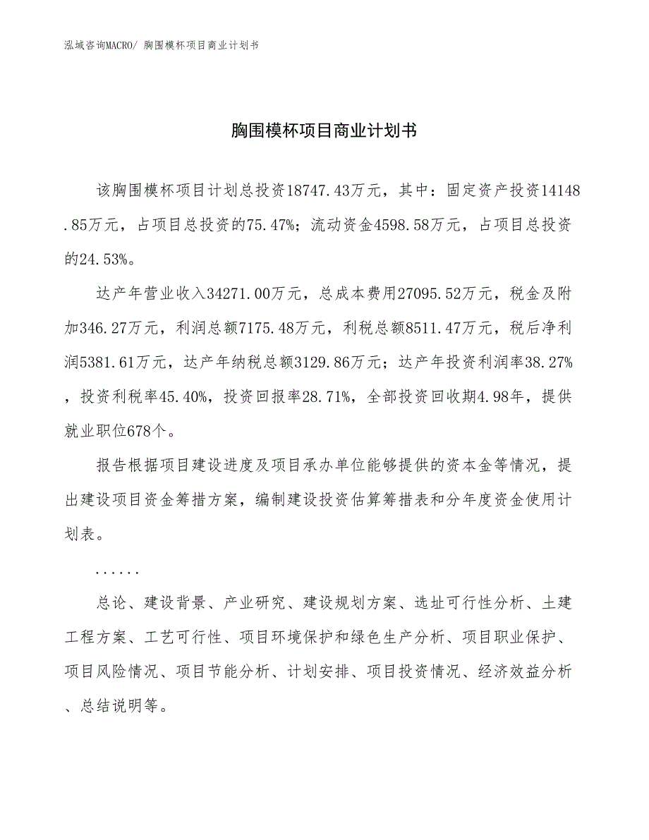 （项目说明）胸围模杯项目商业计划书_第1页