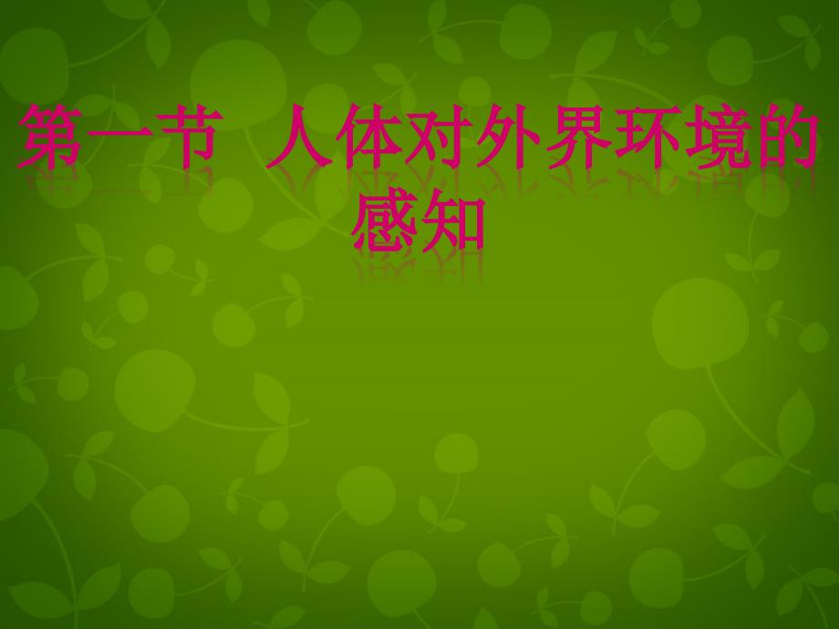 北京市和平北路学校七年级生物下册 4.6.1 人体对外界环境的感知课件 新人教版_第1页