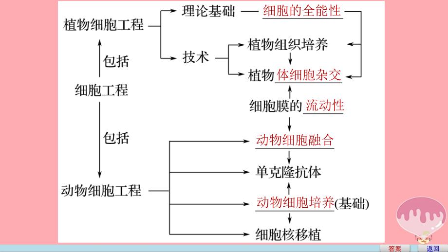 2018-2019学年高中生物专题2基因工程专题整合提升课件新人教版选修_第4页