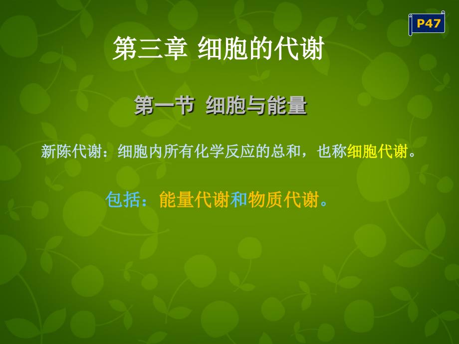 浙江省嘉兴市第三中学高中生物《3.1细胞与能量》课件 浙科版必修1_第1页