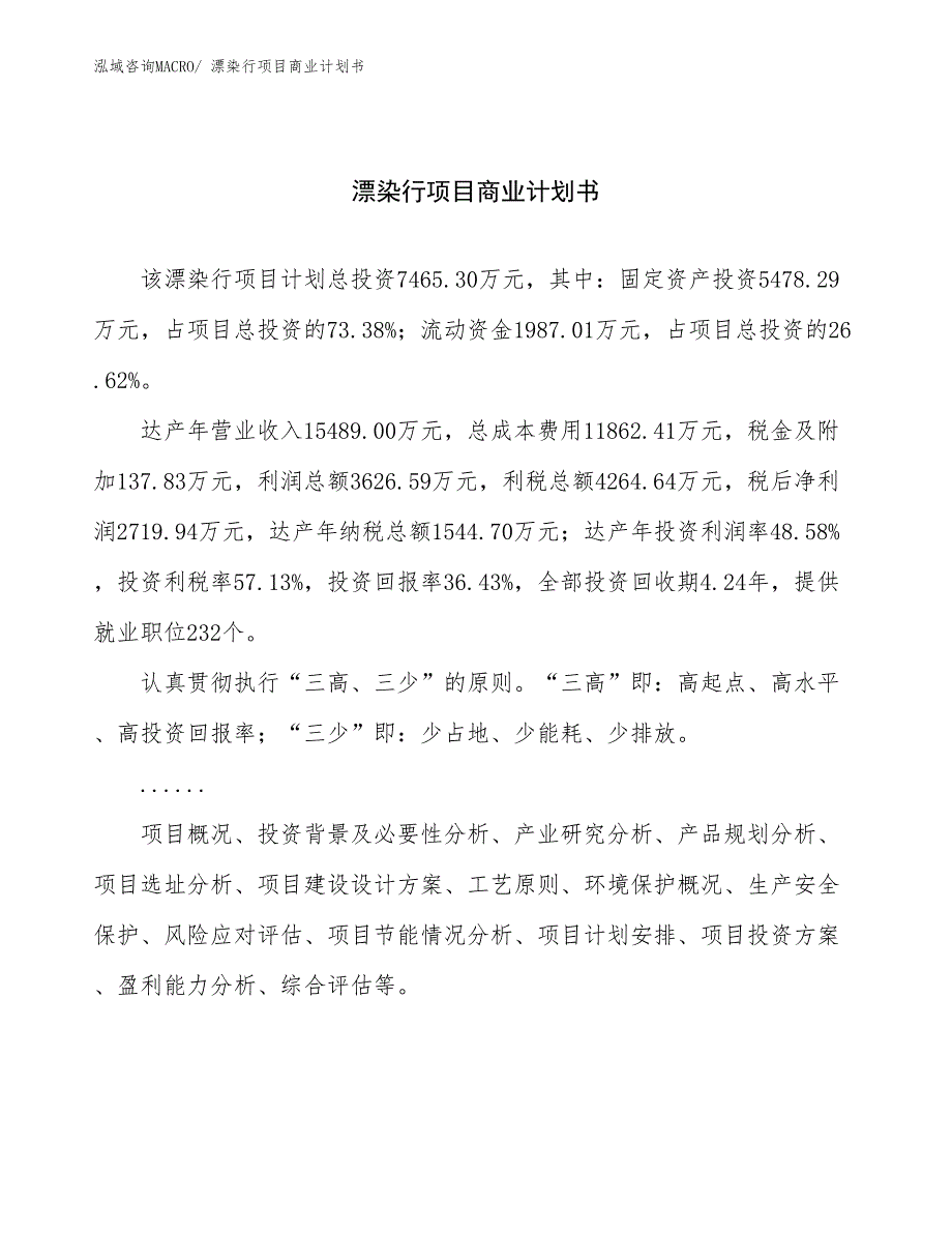 （项目说明）漂染行项目商业计划书_第1页