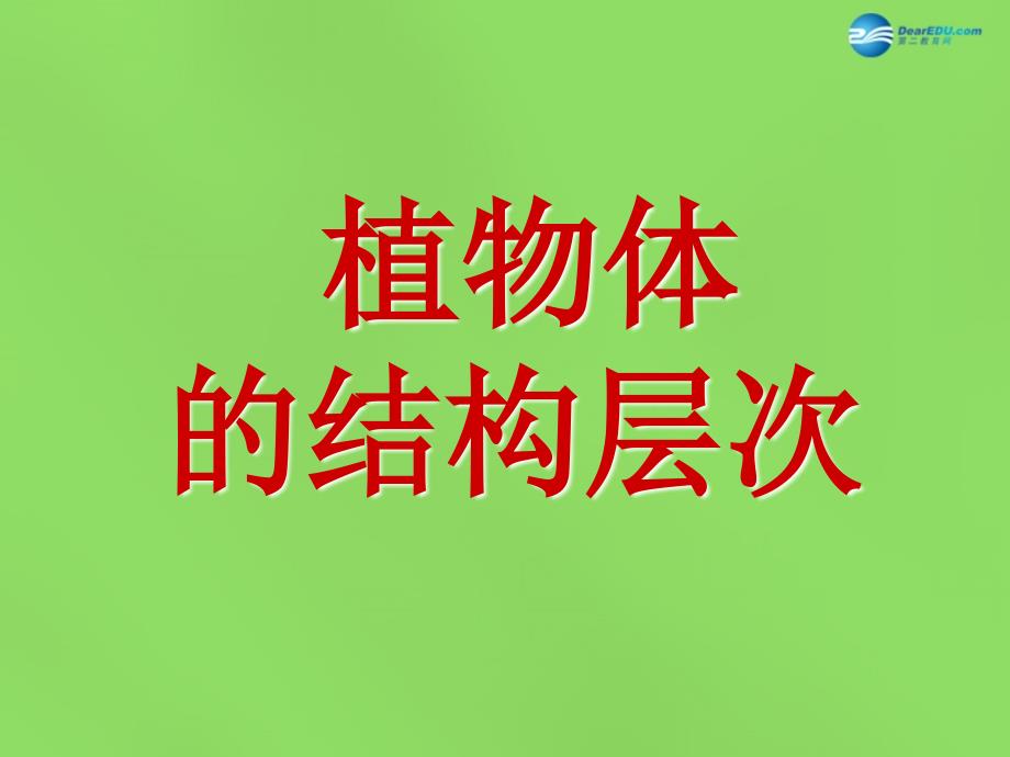河南省濮阳市第六中学七年级生物上册 2.2.3 植物体的结构层次课件1 新人教版_第1页