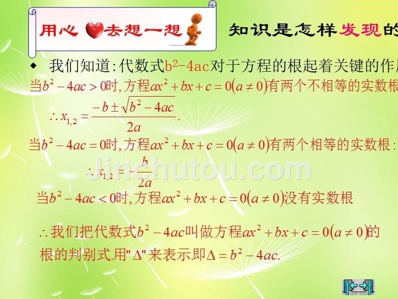 山东省淄博市博山区第六中学九年级数学上册 21 一元二次方程复习课件 新人教版_第5页