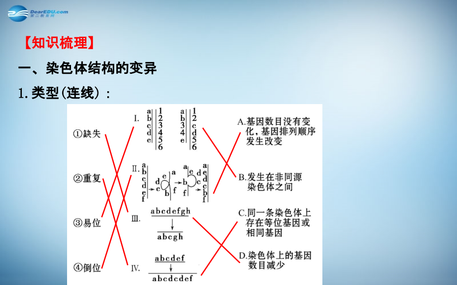 （全国通用）2018届高考生物总复习 第五章 基因突变及其他变异 第2节 染色体变异课件 新人教版必修2_第4页