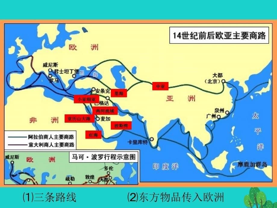 安徽省太和县北城中学九年级历史上册 第7课 东西方文化交流的使者课件 新人教版_第5页