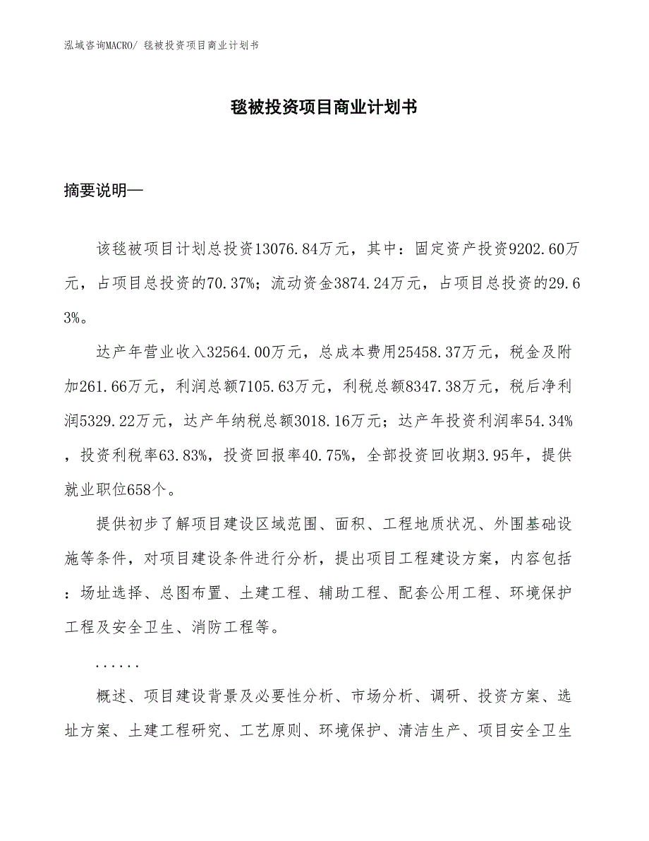 （参考）毯被投资项目商业计划书_第1页