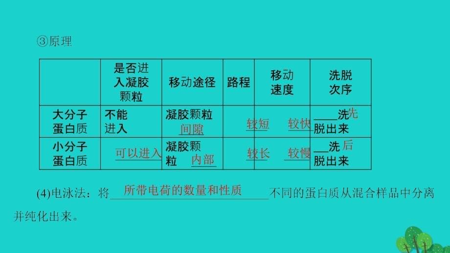 2018-2019学年高中生物 第4章 生物化学与分子生物学技术实践 第1节 生物成分的分离与测定技术课件 苏教版选修1_第5页