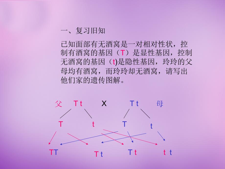 内蒙古阿鲁科尔沁旗天山第六中学八年级生物下册 第七单元 第二章 第四节 人的性别遗传课件 新人教版_第1页