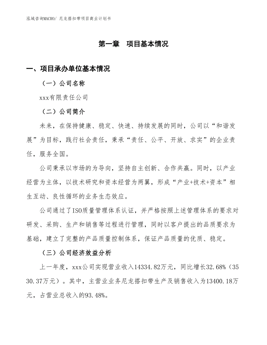 （项目计划）尼龙搭扣带项目商业计划书_第3页