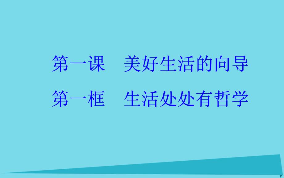 2018年高中政治 第一课 第一框 生活处处有哲学课件 新人教版必修4_第2页