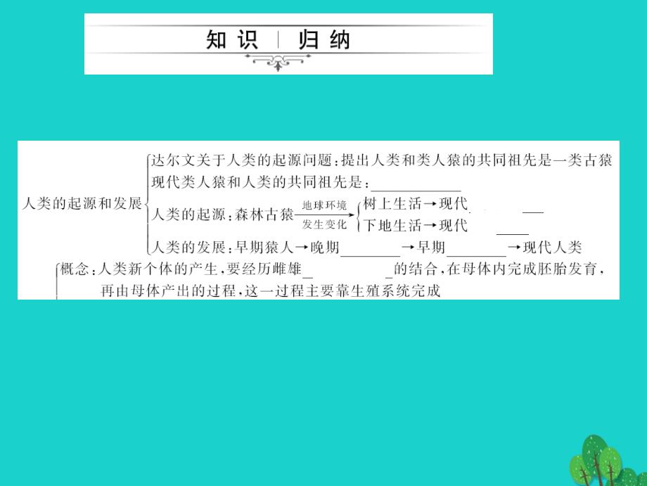 2018中考生物第一轮系统复习篇 第四单元 第一章 人的由来课件_第2页