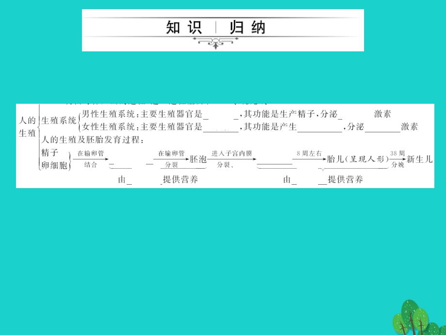 2018中考生物第一轮系统复习篇 第四单元 第一章 人的由来课件_第3页