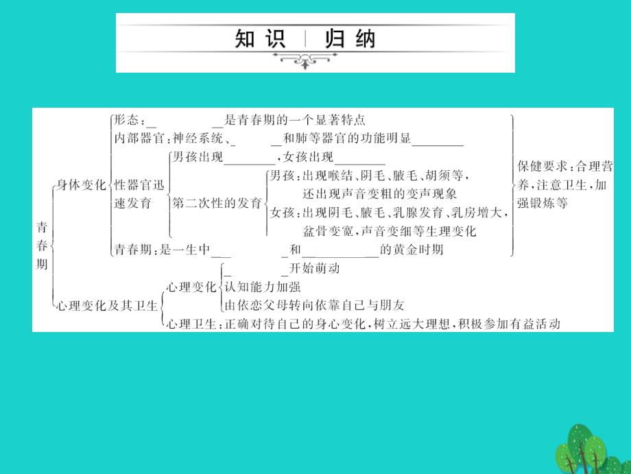 2018中考生物第一轮系统复习篇 第四单元 第一章 人的由来课件_第4页