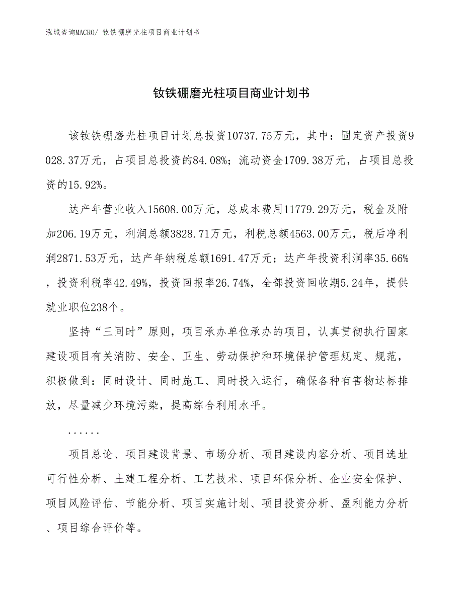 （项目说明）钕铁硼磨光柱项目商业计划书_第1页