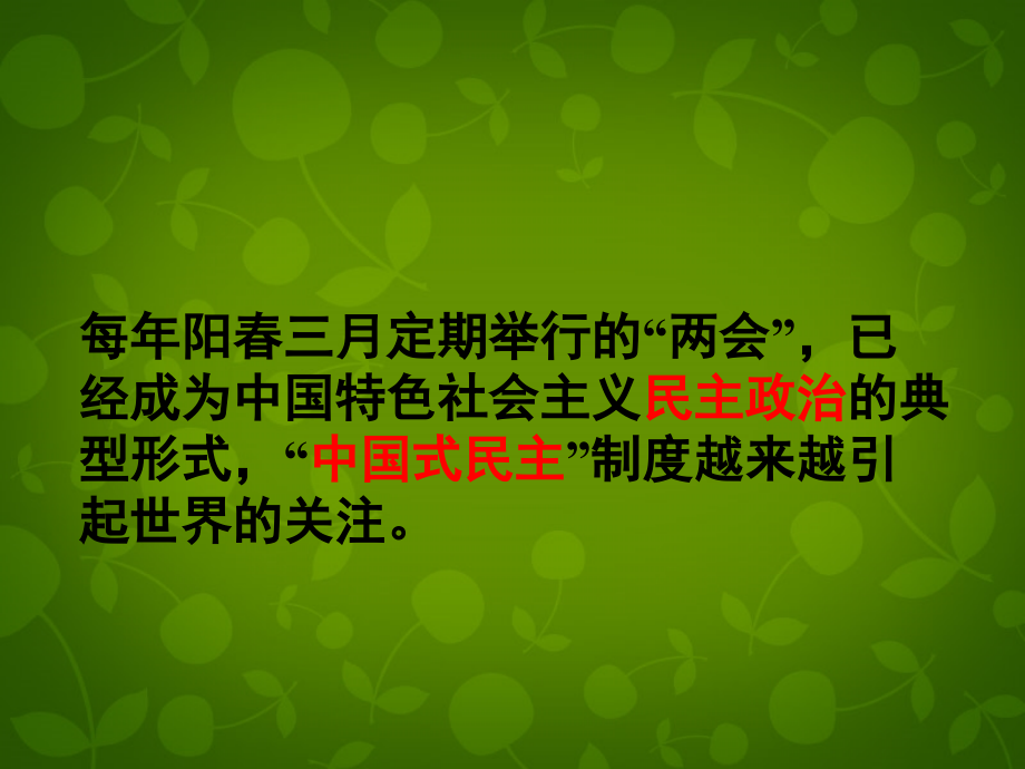 河北省邢台市临西县第一中学九年级政治全册《6.1 人民当家作主的法治国家》课件5 新人教版_第3页