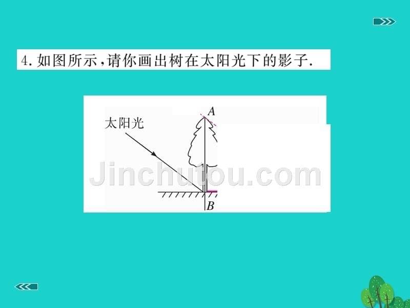 2018年秋九年级数学上册 5.1 第2课时 平行投影与正投影习题课件 （新版）北师大版_第5页