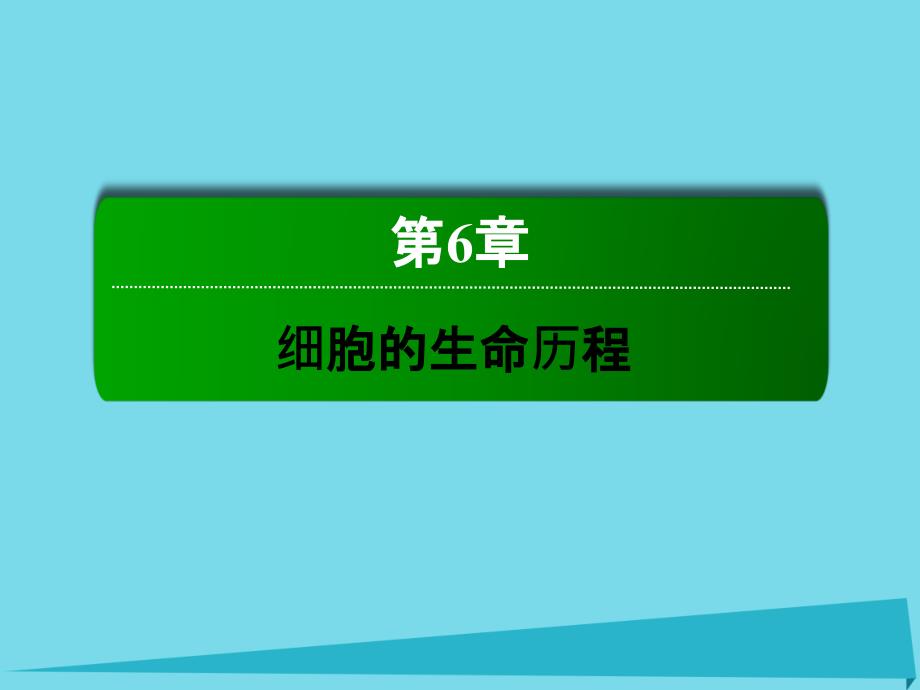 讲与练2018-2019年度高中生物 第6章 细胞的生命历程 6.2 细胞的分化课件 新人教版必修1_第1页