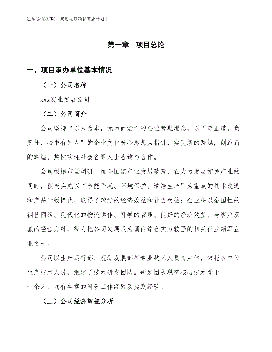 （创业）起动电瓶项目商业计划书_第2页