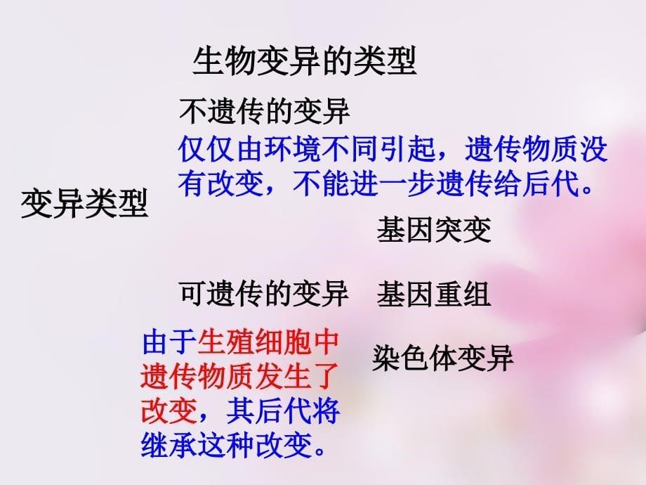 2018-2019高中生物 5.1 基因突变和基因重组课件 新人教版必修2_第5页