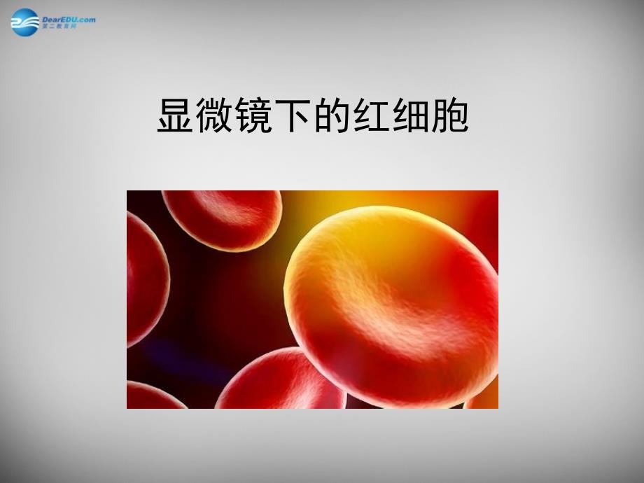 北京市和平北路学校七年级生物上册 2.1.1 练习使用显微镜课件 新人教版_第1页
