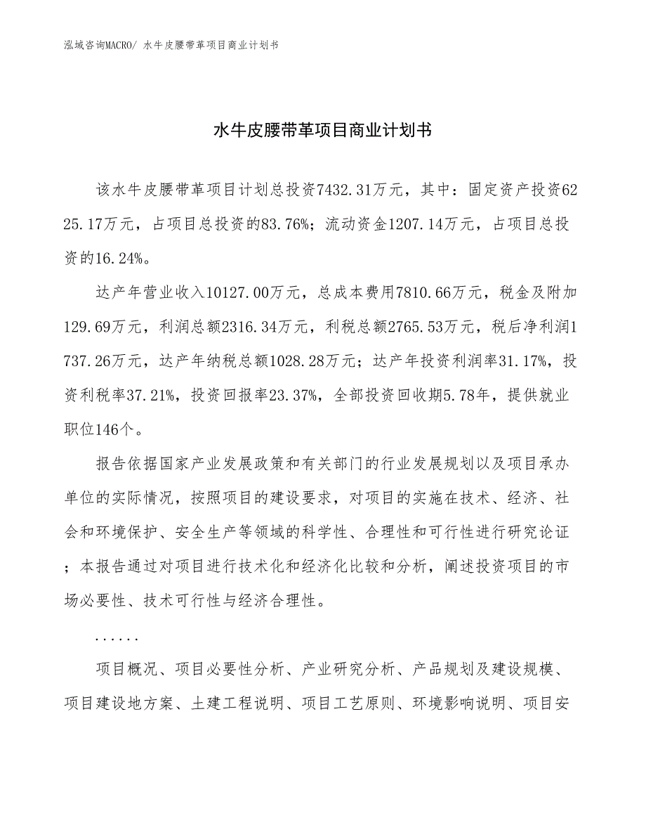 （项目计划）水牛皮腰带革项目商业计划书_第1页