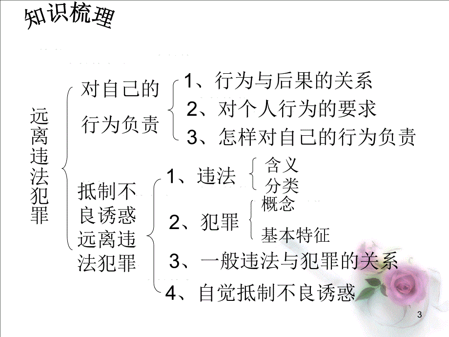 1.3远离违法犯罪 课件3（政治陕教版九年级全册）_第3页