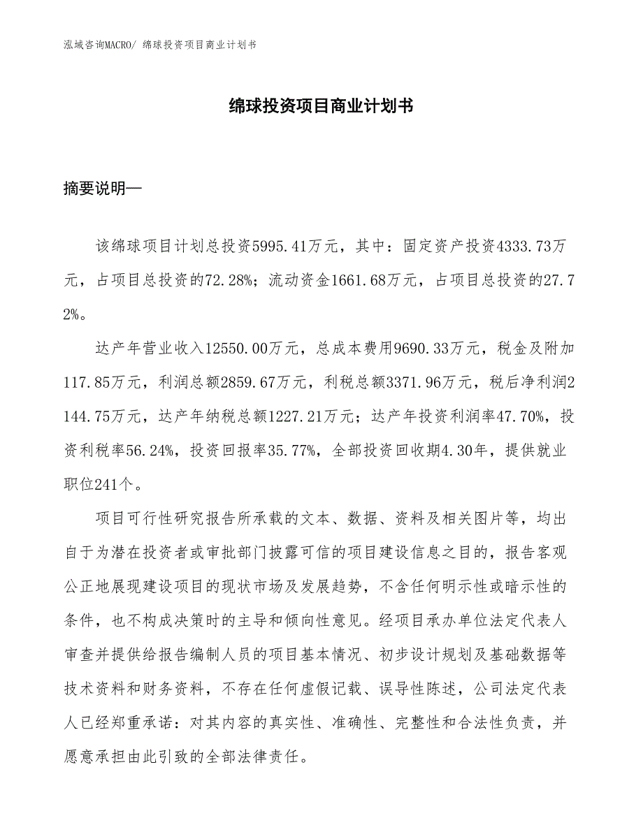 （准备资料）绵球投资项目商业计划书_第1页