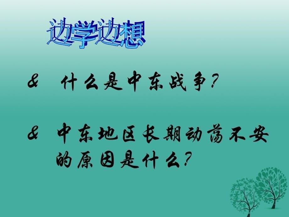 广东省罗定市九年级历史下册 第四单元 第17课 干戈不息课件 北师大版_第5页