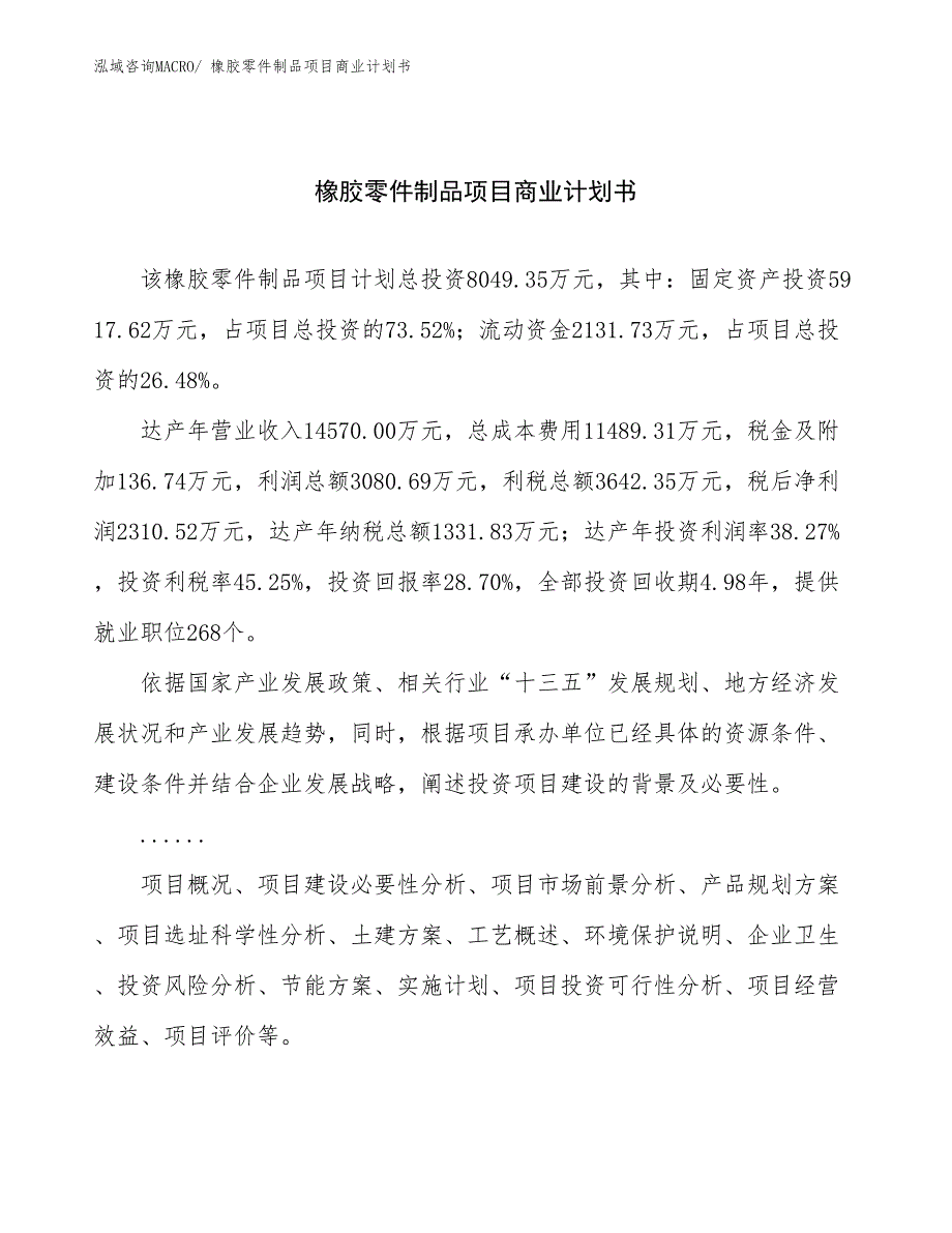 （创业）橡胶零件制品项目商业计划书_第1页