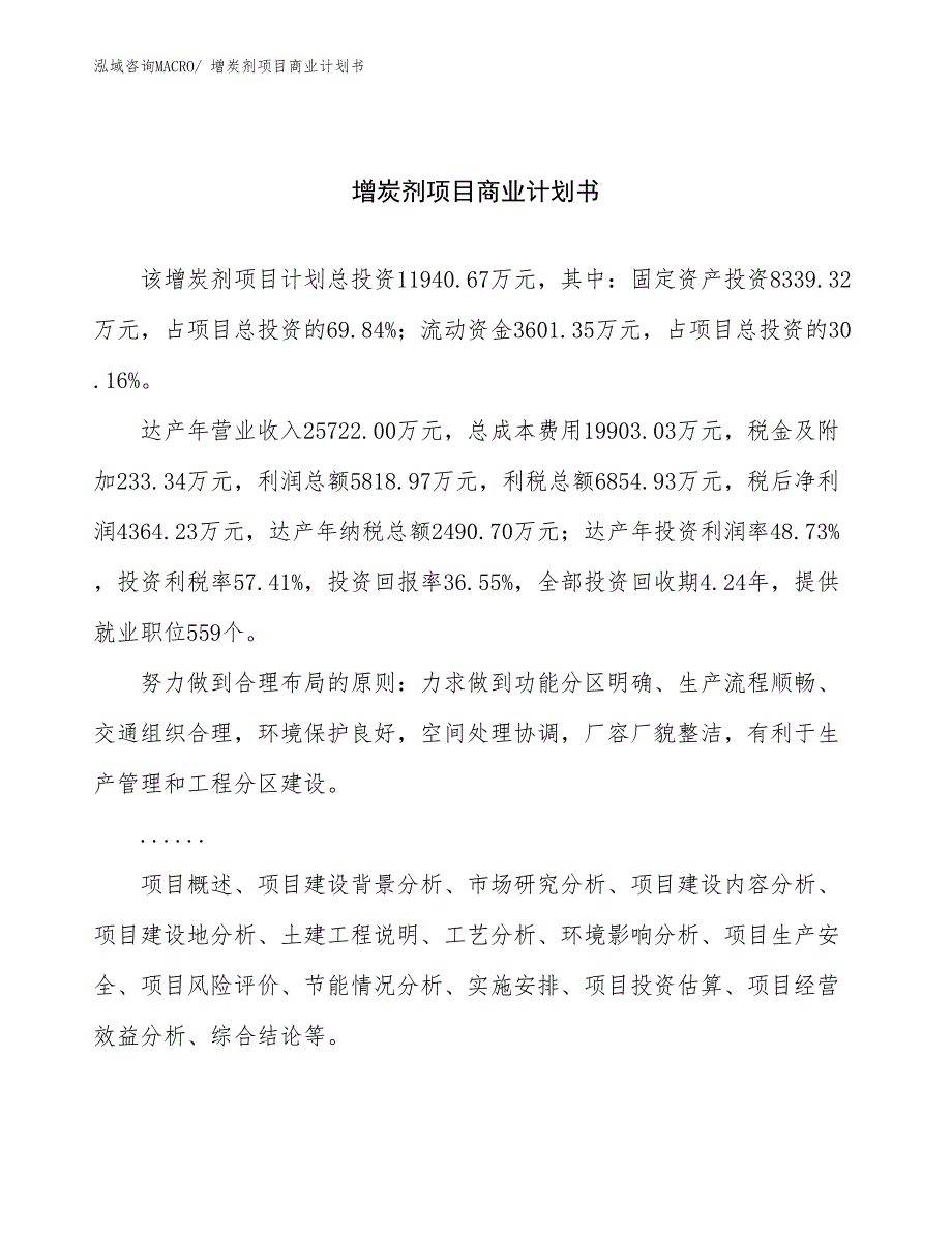 （融资）增炭剂项目商业计划书_第1页