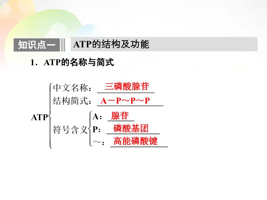 高中生物 5.2 细胞的能量“通货” atp课件 新人教版必修1_第4页