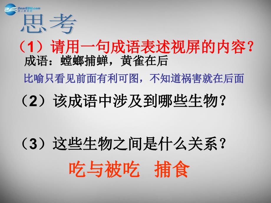 江苏省昆山市兵希中学七年级生物上册 第六章 第一节 食物链课件 苏科版_第3页