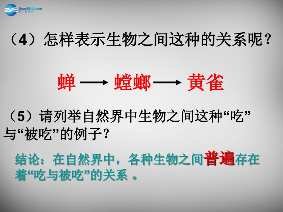 江苏省昆山市兵希中学七年级生物上册 第六章 第一节 食物链课件 苏科版_第4页