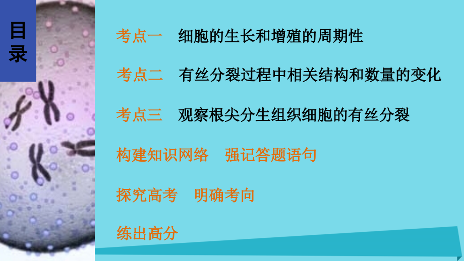 2018年高考生物大一轮复习 第12讲 细胞的增殖课件_第2页