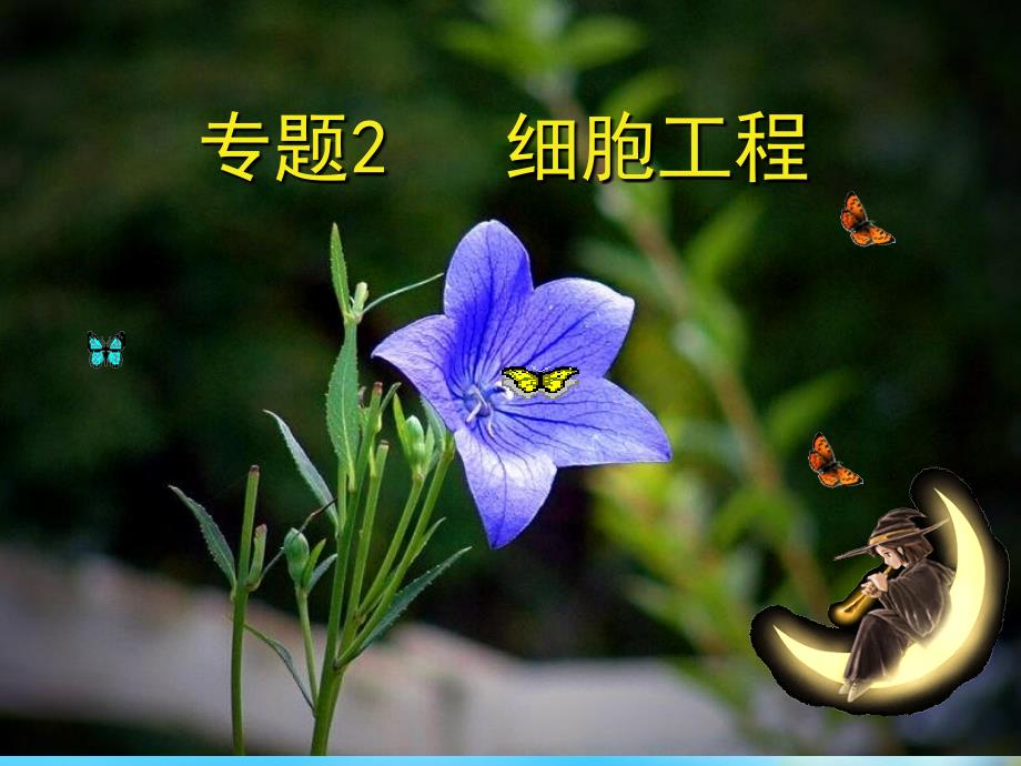 云南省德宏州梁河县第一中学高二生物 2.1植物细胞工程课件_第1页