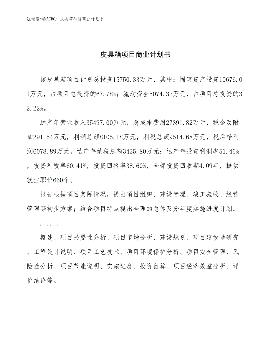 （创业）皮具箱项目商业计划书_第1页