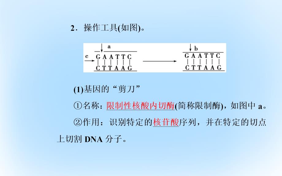 2018-2019学年高中生物第6章从杂交育种到基因工程第2节基因工程及其应用课件新人教版(1)_第4页