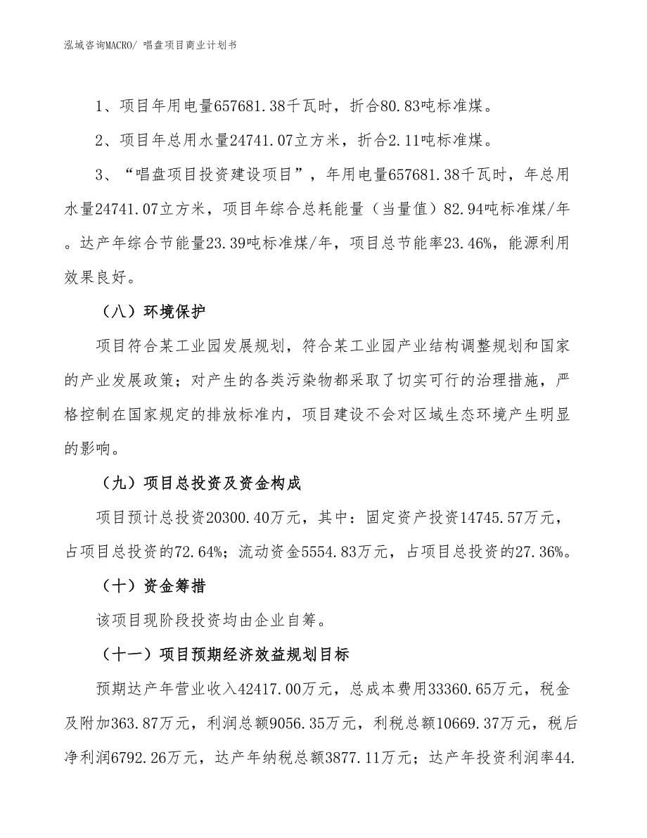 （融资）唱盘项目商业计划书_第5页