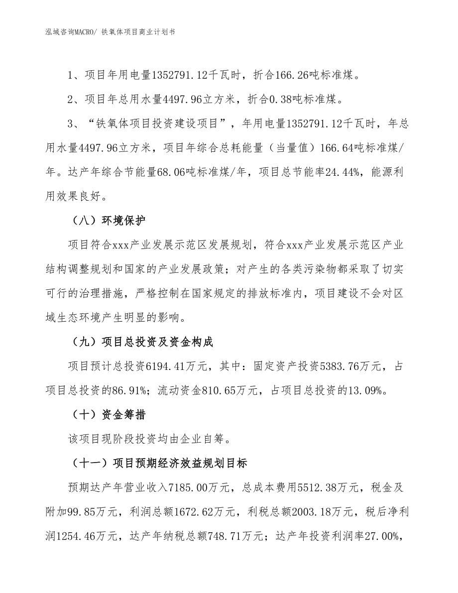 （项目计划）铁氧体项目商业计划书_第5页