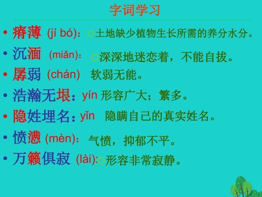 四川省雅安市雨城区中里镇中学九年级语文下册 第11课《地下森林断想》课件 新人教版_第5页