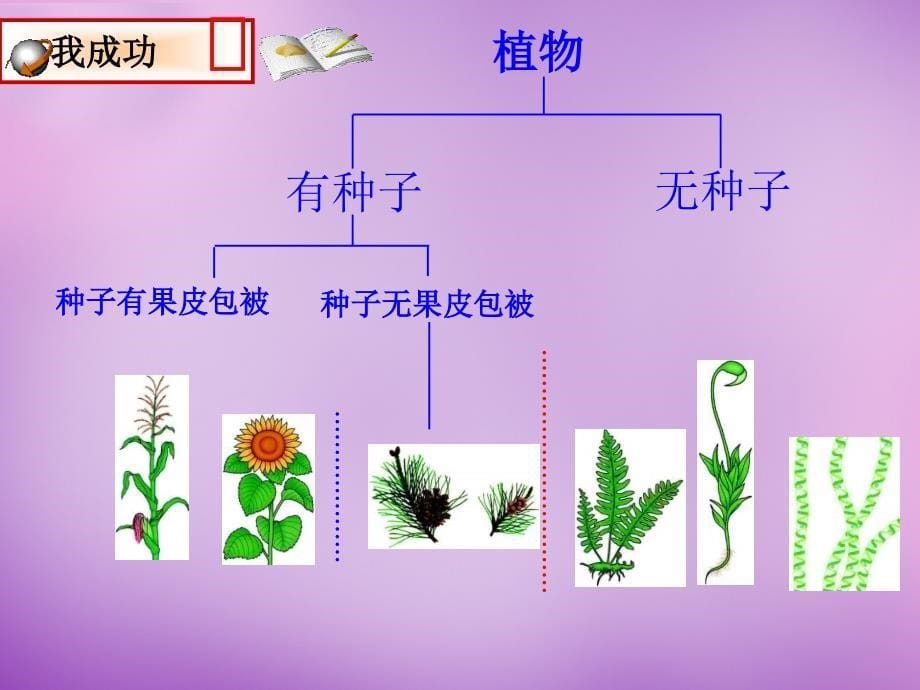 云南省元阳县民族中学八年级生物上册《第六单元 第一章 第一节 尝试对生物进行分类》课件 新人教版_第5页