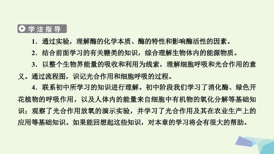 2018-2019年高中生物第五章细胞的能量供应和利用第1节降低化学反应活化能的酶课件新人教版必修_第5页