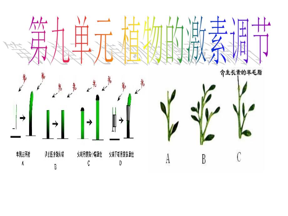 2018高考生物一轮复习 第九单元 植物的激素调节课件_第1页