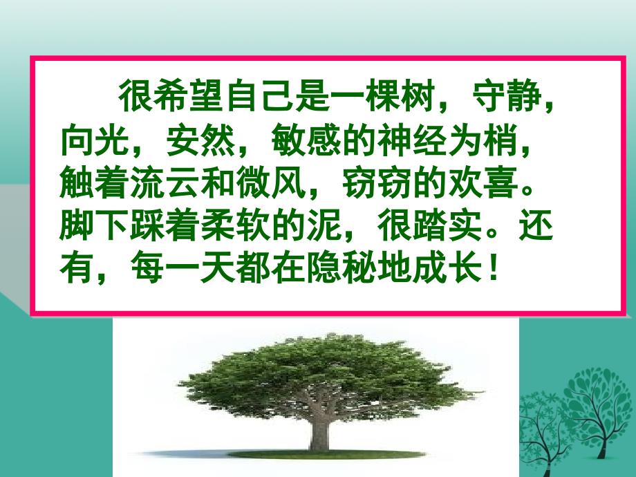 山东省淄博市周村区萌水中学九年级语文上册 散文阅读指导课件 鲁教版（五四学制）_第1页