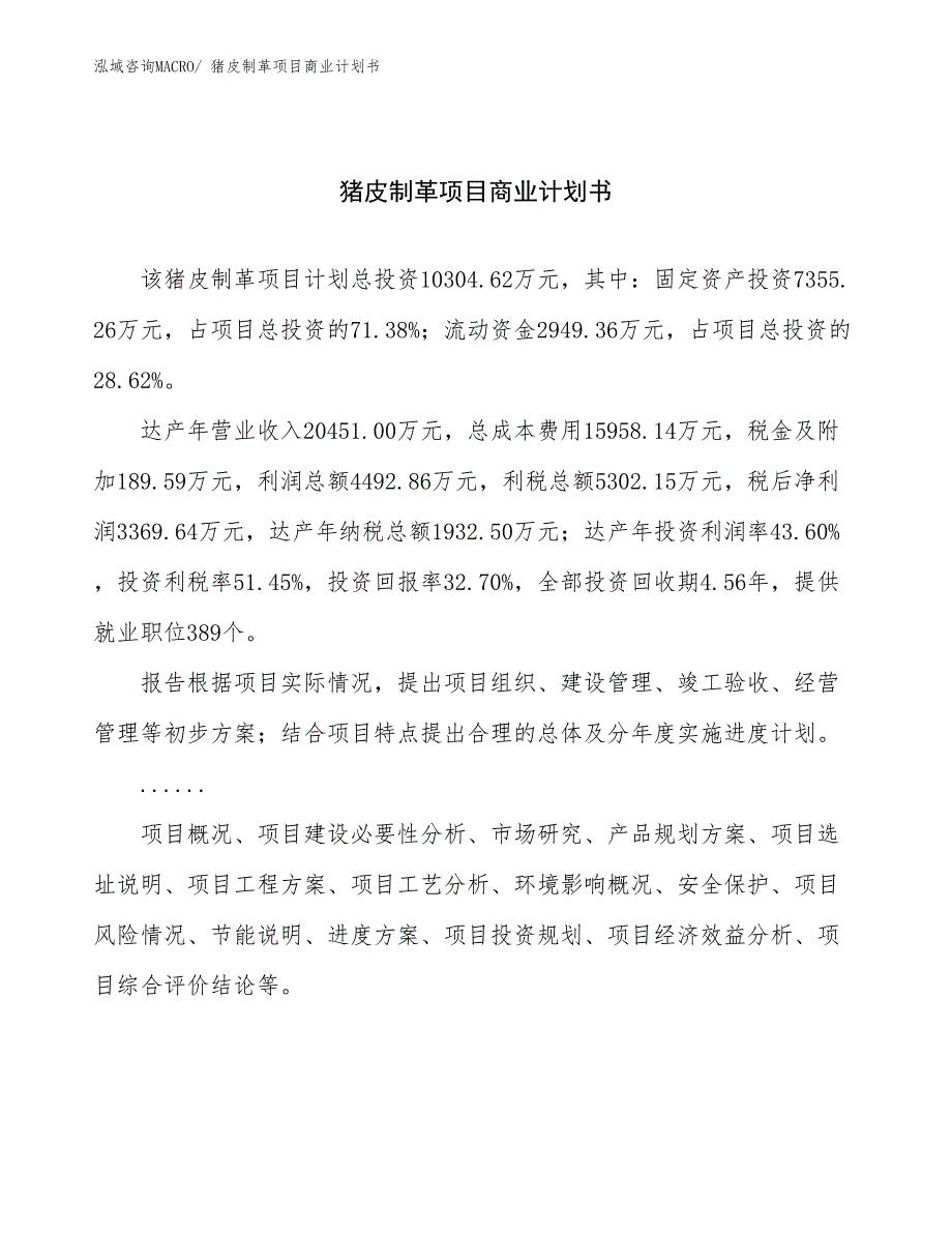 （项目说明）桥式整流器项目商业计划书_第1页