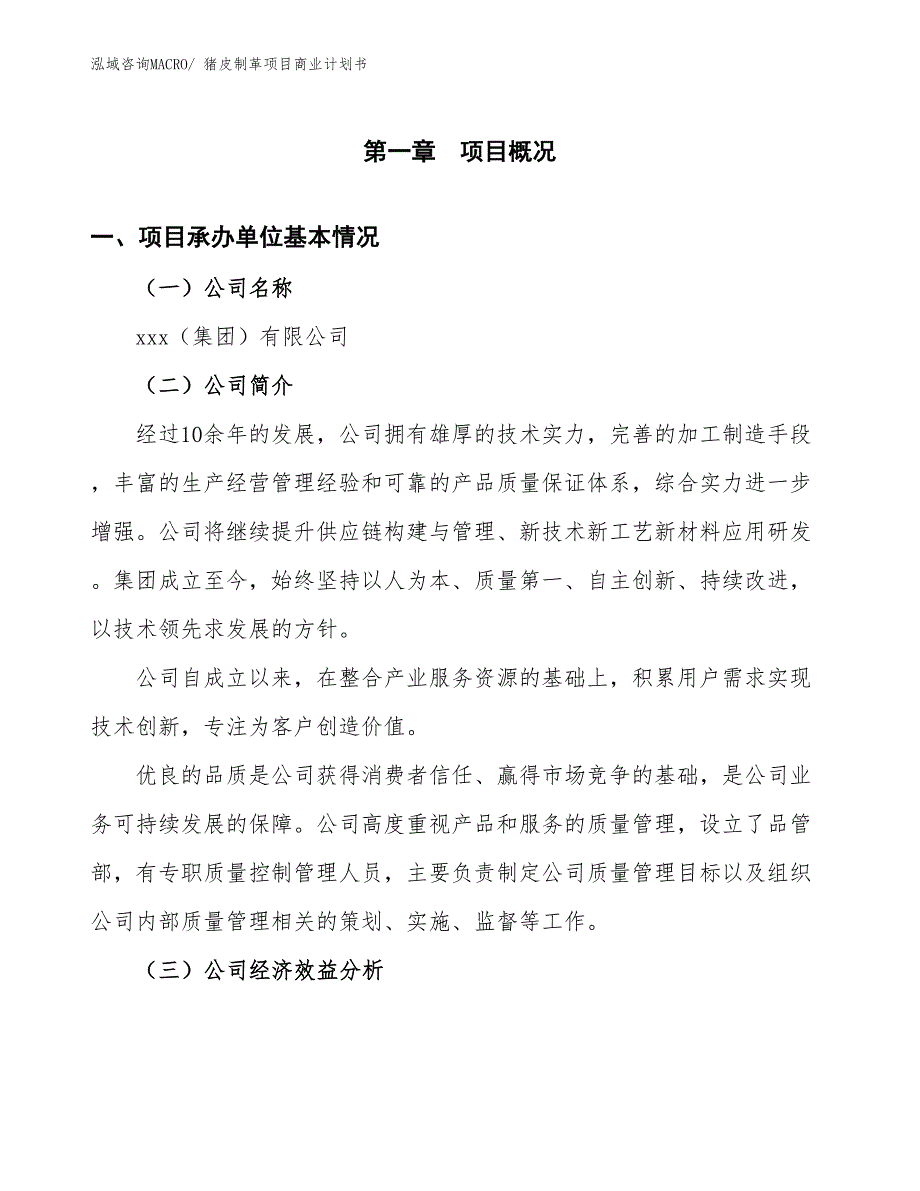 （项目说明）桥式整流器项目商业计划书_第2页