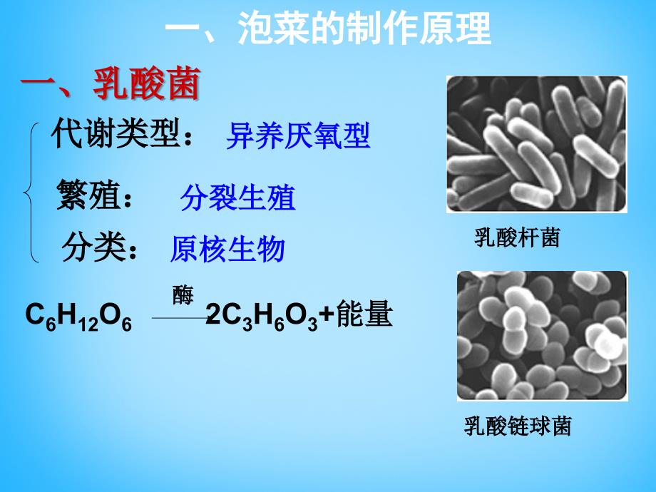 2018年高中生物 泡菜的制作课件 苏教版选修1_第4页