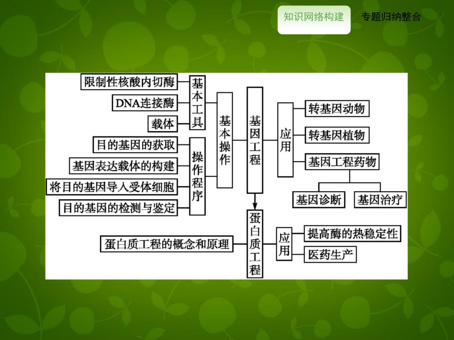 2018高中生物 专题整合提升课件1 新人教版选修3_第2页